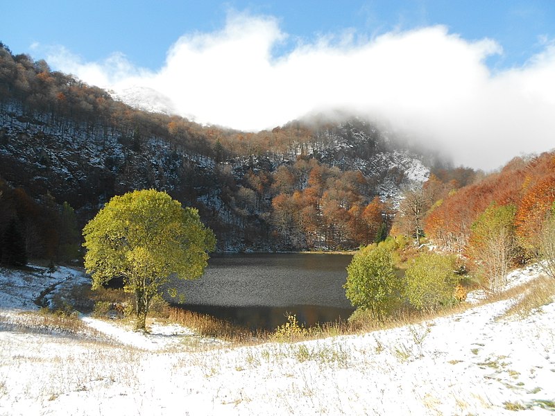 Donje Bare Borić Gornje Bare